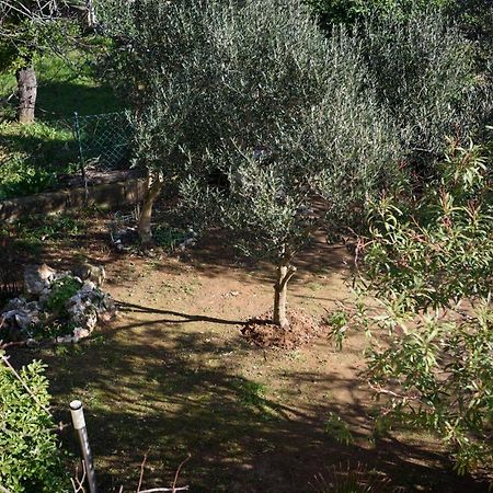 Villa Claudia Beach Apartment Premantura Buitenkant foto
