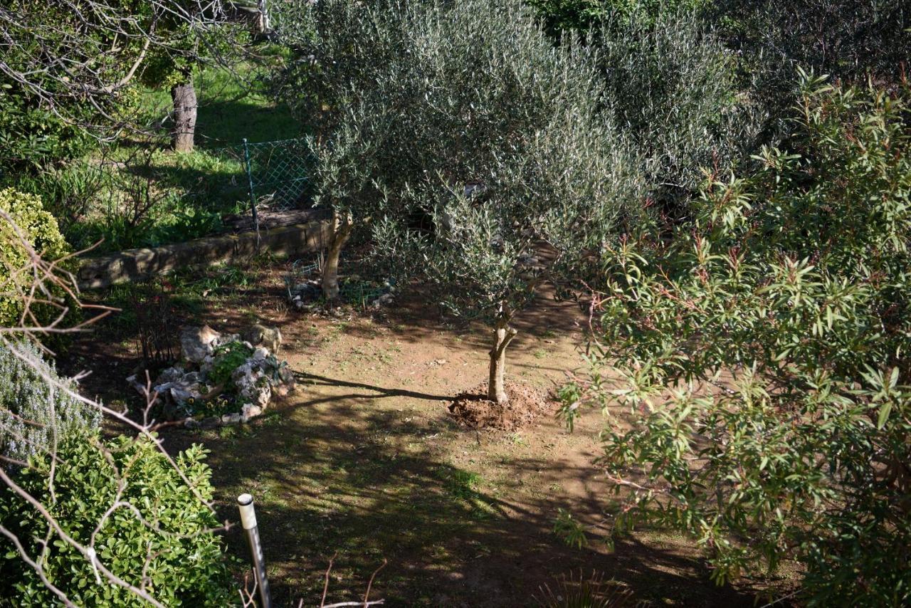 Villa Claudia Beach Apartment Premantura Buitenkant foto
